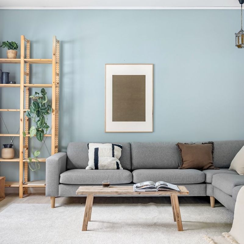 Tidy living room with natural light